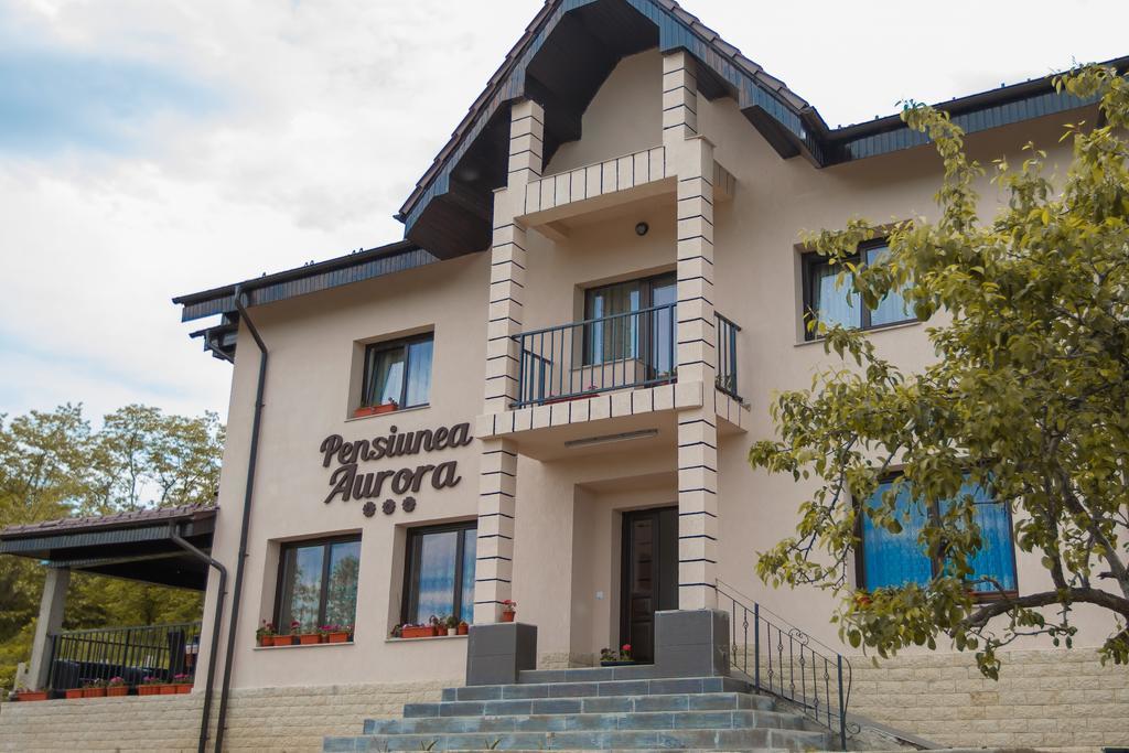 Pensiunea Aurora Hotel Racova Luaran gambar
