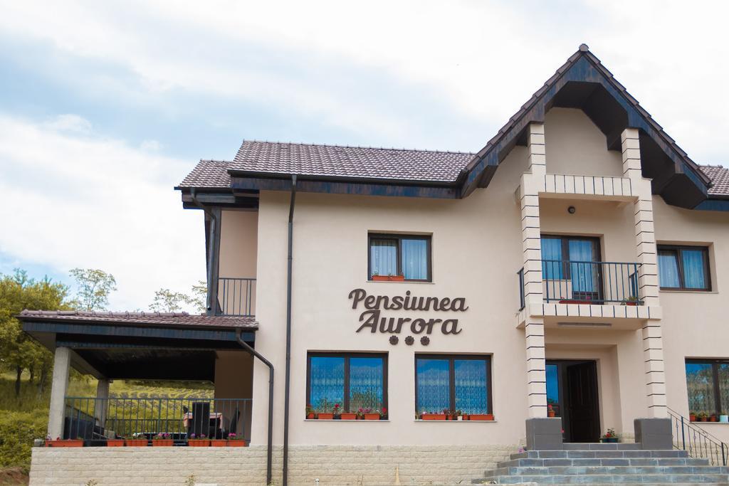 Pensiunea Aurora Hotel Racova Luaran gambar